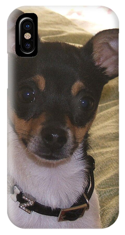 Dog iPhone X Case featuring the photograph Audition for Easter Bunny by Barbara McDevitt
