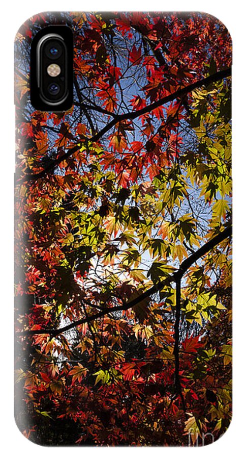 Fall iPhone X Case featuring the photograph Autumn by Andy Myatt