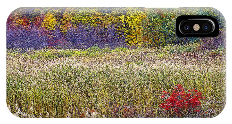 Fall iPhone X Case featuring the photograph Autumn Color by Bruce Bain