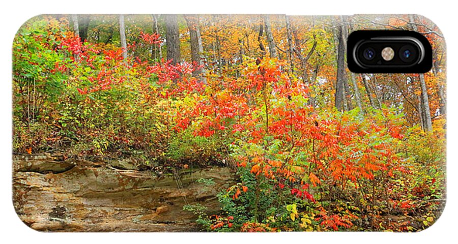 Autumn Colors iPhone X Case featuring the photograph Autumn Colors by Lorna Rose Marie Mills DBA Lorna Rogers Photography