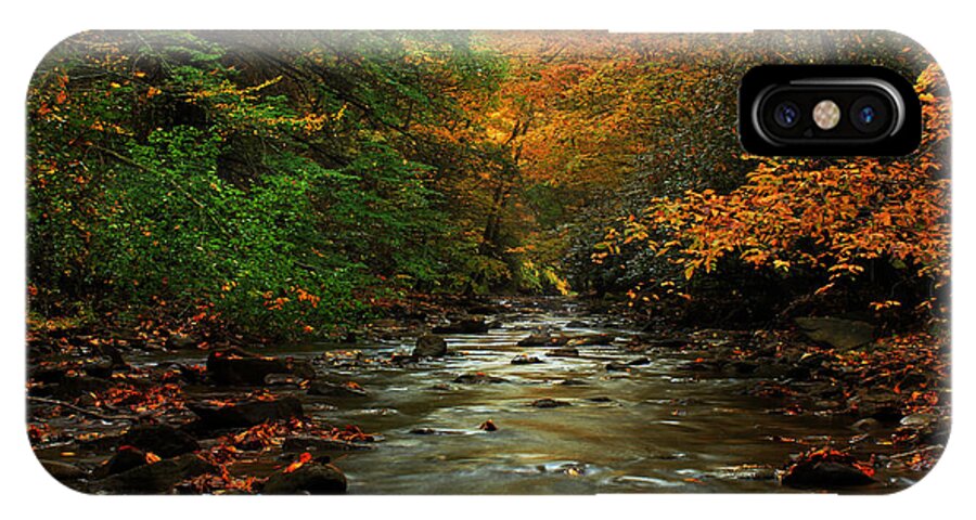Landscape iPhone X Case featuring the photograph Autumn Creek by Melissa Petrey