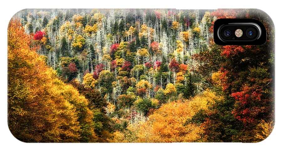 Fall Tour 2013 iPhone X Case featuring the photograph Autumn in the Smokies by Deborah Scannell
