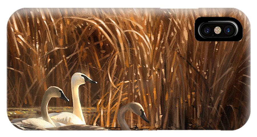 Swans iPhone X Case featuring the digital art Autumn Light- Trumpeter Swans by Aaron Blaise