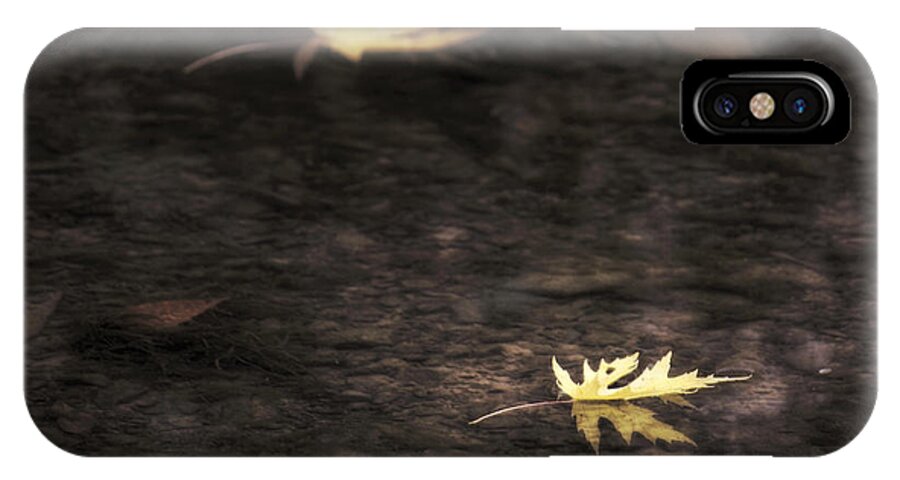 Autumn iPhone X Case featuring the photograph Autumn Mood - Fall - Leaves by Jason Politte