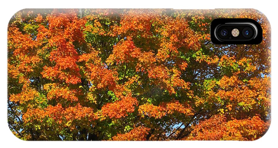Autumn iPhone X Case featuring the photograph Autumn Splendor by Kathie Chicoine