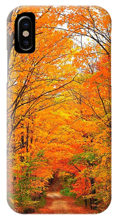 Autumn iPhone X Case featuring the photograph Autumn Tunnel of Trees by Terri Gostola