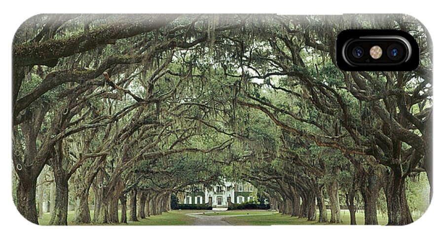 Avenue Of The Oaks iPhone X Case featuring the photograph 147706-Avenue of the Oaks by Ed Cooper Photography