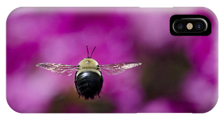 Antennae iPhone X Case featuring the photograph Azalea bush bee by Brian Stevens