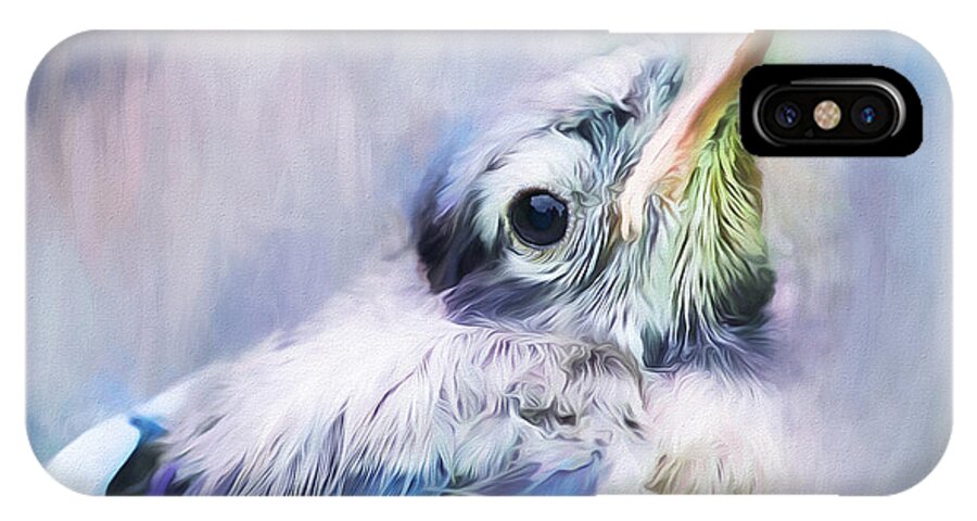 Baby Blue Jay iPhone X Case featuring the photograph Baby Blue Jay by Darren Fisher