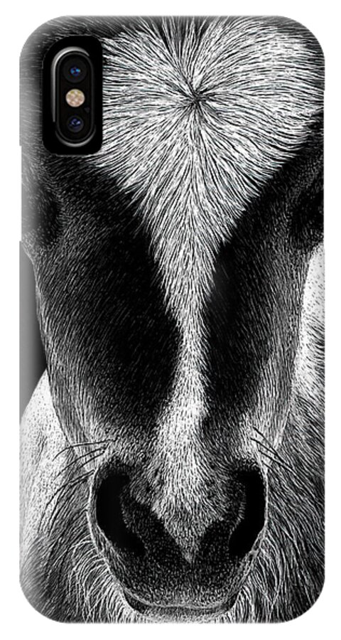 Mini Horse iPhone X Case featuring the drawing Baby Face by Ann Ranlett