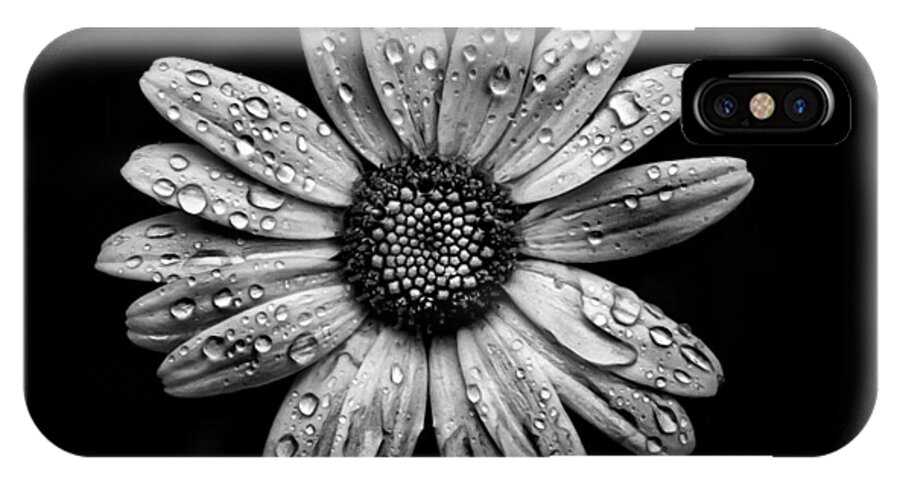 Abstract iPhone X Case featuring the photograph Backyard Flowers In Black And White 16 After The Storm by Brian Carson