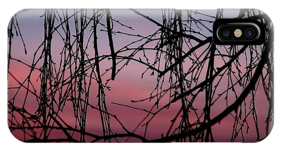 Oregon iPhone X Case featuring the photograph Backyard Sunset by Chris Dunn
