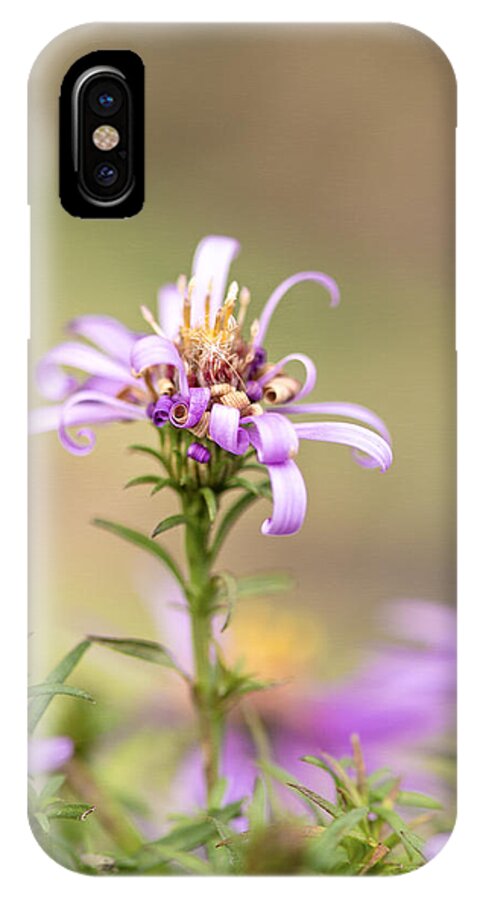Flower iPhone X Case featuring the photograph Bad Hair Day by Sandra Parlow