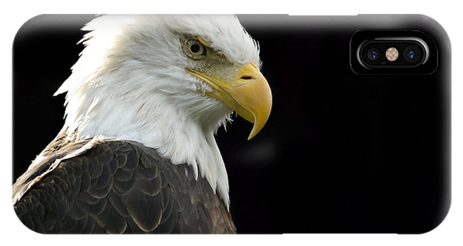 America iPhone X Case featuring the photograph Bald Eagle by Larry Bohlin
