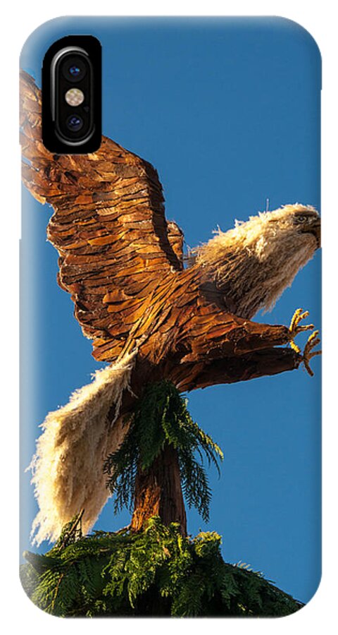 ©connie Cooper-edwards iPhone X Case featuring the photograph Bald Eagle vertical by Connie Cooper-Edwards