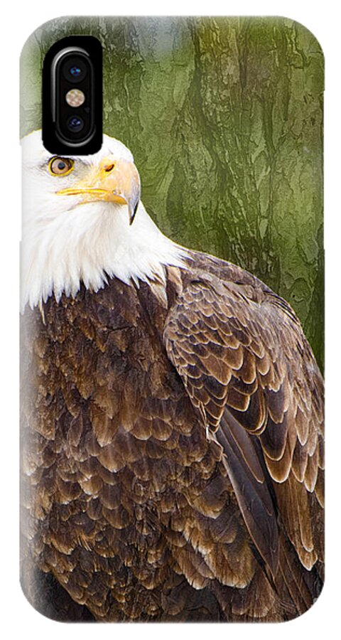 Snow iPhone X Case featuring the photograph Bald Eagle - with texture by Les Palenik