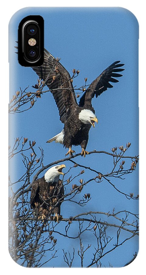 Marsh iPhone X Case featuring the photograph Bald Eagles Screaming DRB169 by Gerry Gantt