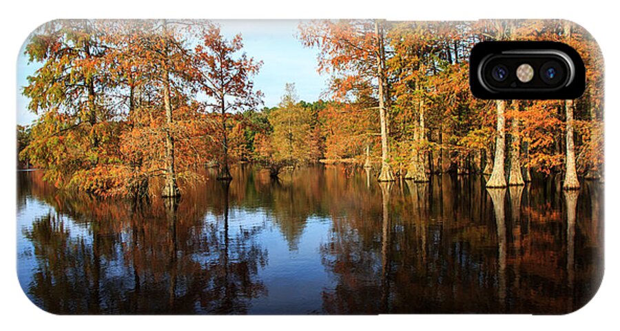 Baldcypress Trees iPhone X Case featuring the photograph Baldcypress at Trap Pond by Robert Pilkington