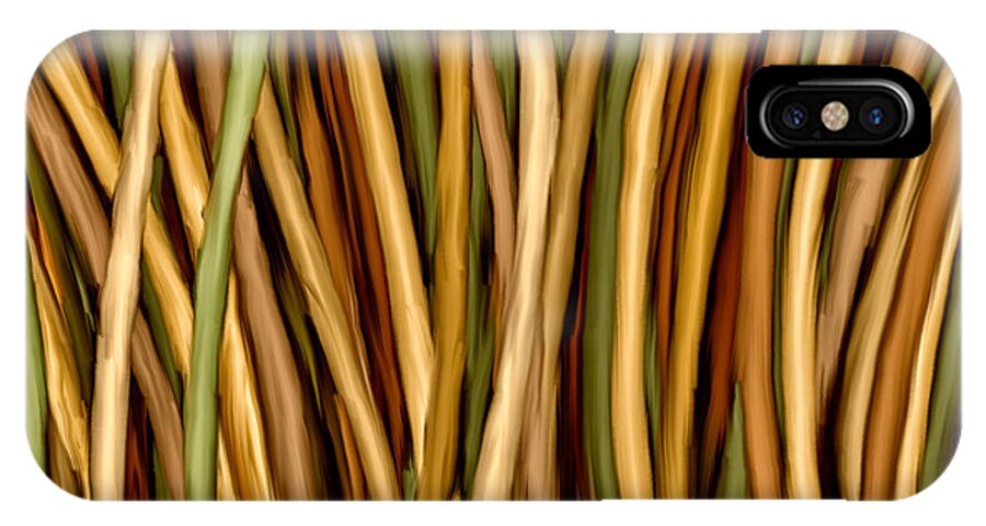 Bamboo iPhone X Case featuring the painting Bamboo Canes by Brenda Bryant