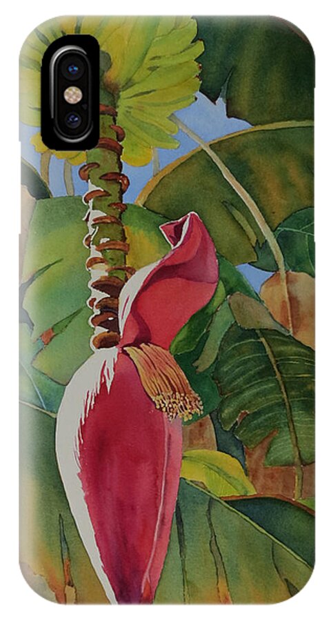 Banana Blossom iPhone X Case featuring the painting Banana Beginnings by Judy Mercer