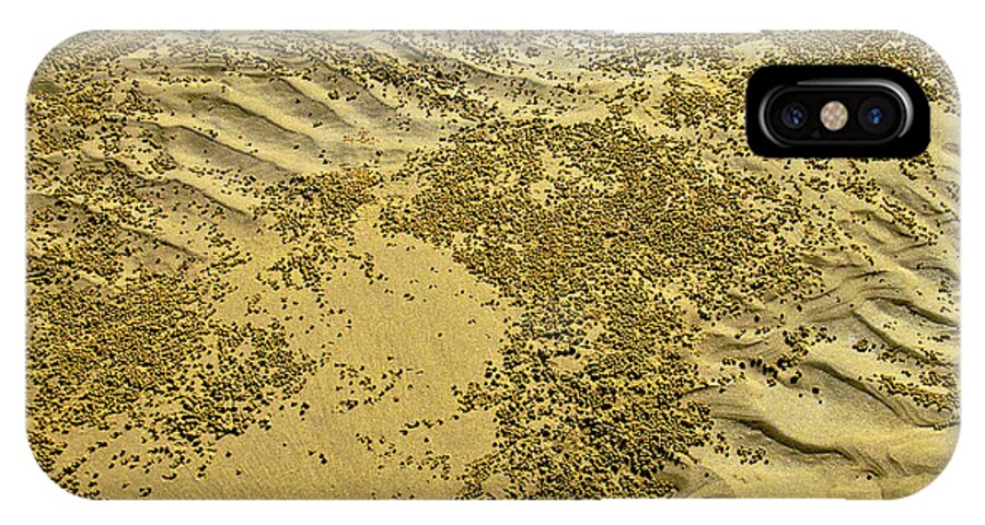 Beach iPhone X Case featuring the photograph Beach desertscape by Jocelyn Kahawai