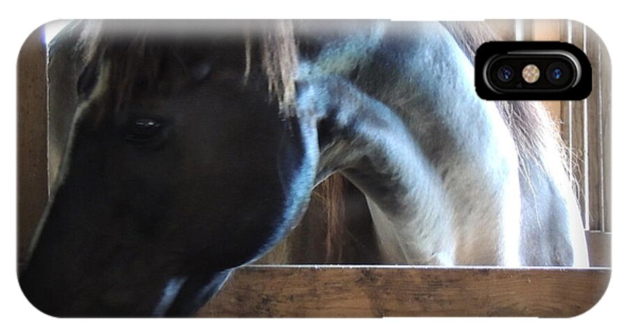 Horse iPhone X Case featuring the photograph beautiful Niijjii at Blue Horse Rescue by Rabiah Seminole
