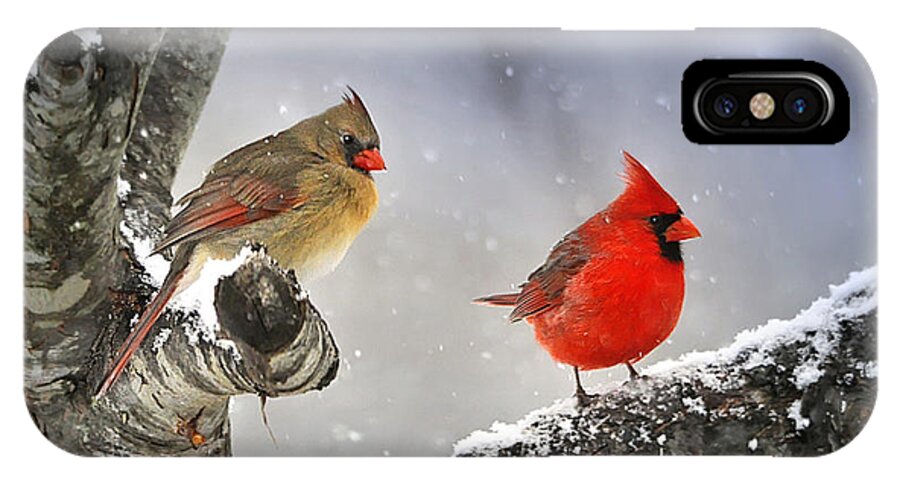 Nature iPhone X Case featuring the photograph Beautiful Together by Nava Thompson