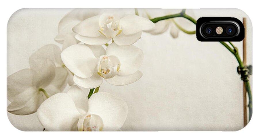 1x1 iPhone X Case featuring the photograph Beautiful white orchid II by Hannes Cmarits