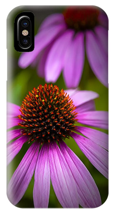 Echinacea iPhone X Case featuring the photograph Beauty of Life by David Millenheft