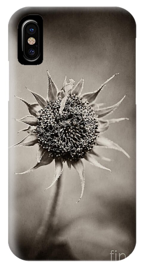 Flower iPhone X Case featuring the photograph Beauty of Loneliness by Trish Mistric