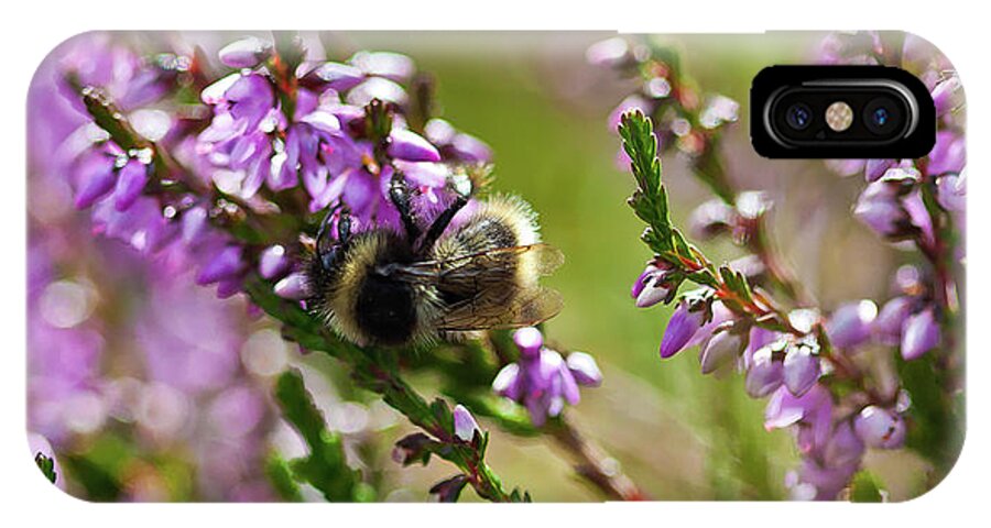 Animal iPhone X Case featuring the photograph Bee on heather by Roberto Pagani