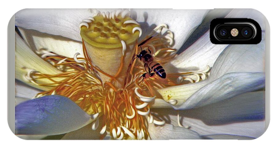 Bee iPhone X Case featuring the photograph Bee On Lotus by Savannah Gibbs