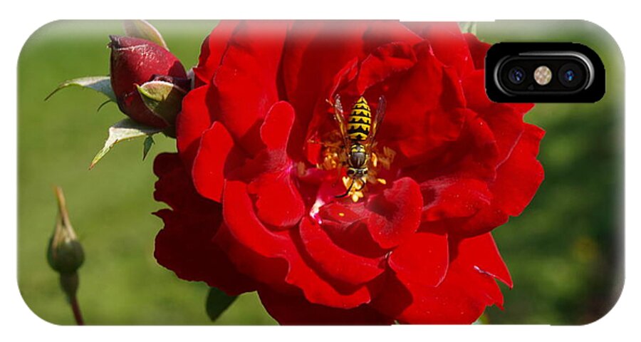 Bee iPhone X Case featuring the photograph Beeing Happy in a Yellow Jacket by Vivian Martin