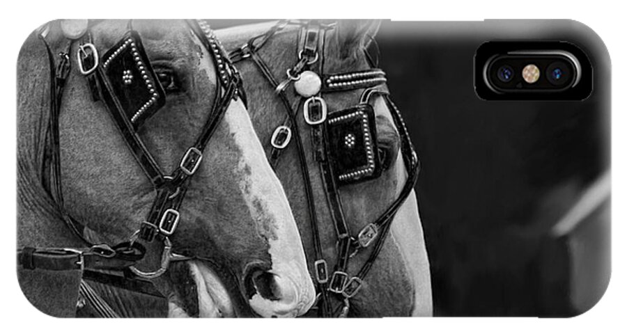 Black And White iPhone X Case featuring the photograph Big Boys by Denise Romano