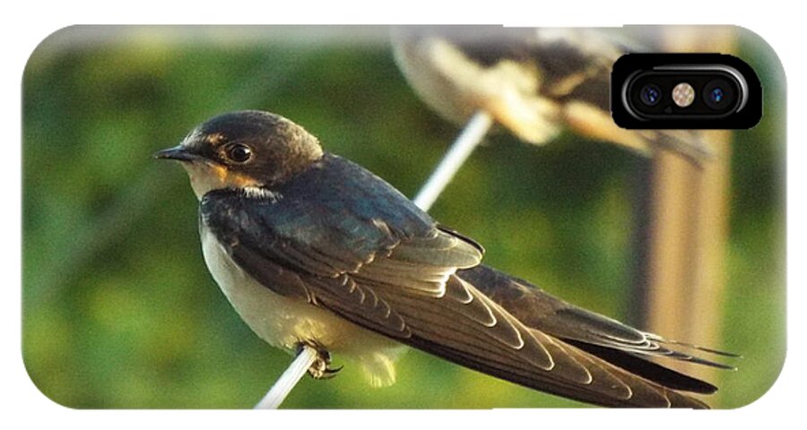 Barn Swallow iPhone X Case featuring the photograph Birds On A Wire by Caryl J Bohn