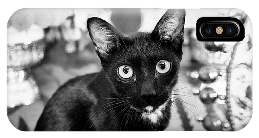 Cat iPhone X Case featuring the photograph Black-and-White in Black and White by Dean Harte