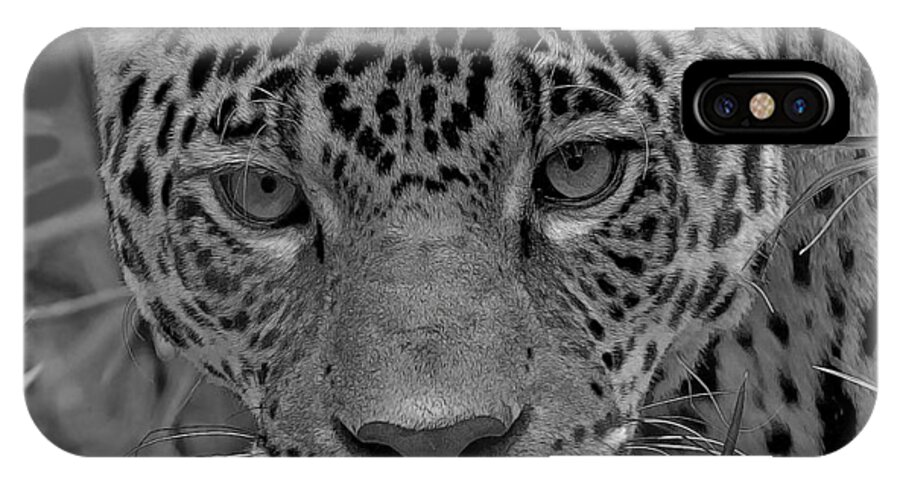 Jaguar iPhone X Case featuring the photograph Black-and-white Jungle Cat by Larry Linton