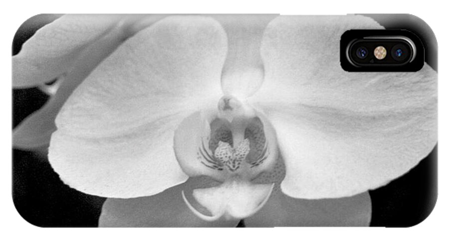 Floral iPhone X Case featuring the photograph Black and White Orchid with Lights - SQUARE by Heather Kirk