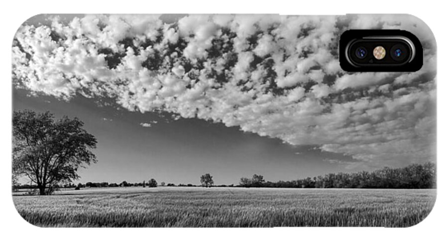 Black And White iPhone X Case featuring the photograph Black and White Wheat Field by Eric Benjamin