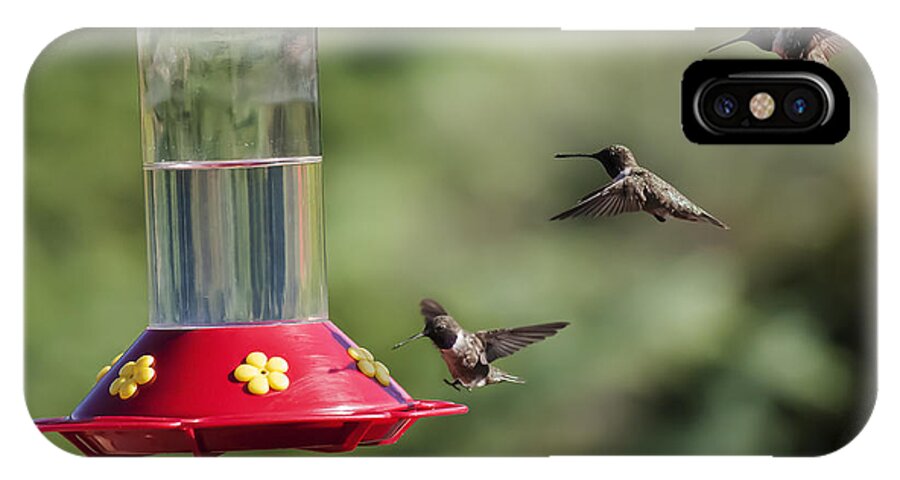 Black-chinned Hummingbird iPhone X Case featuring the photograph Black-chinned Hummingbird Action Panorama by Lee Kirchhevel