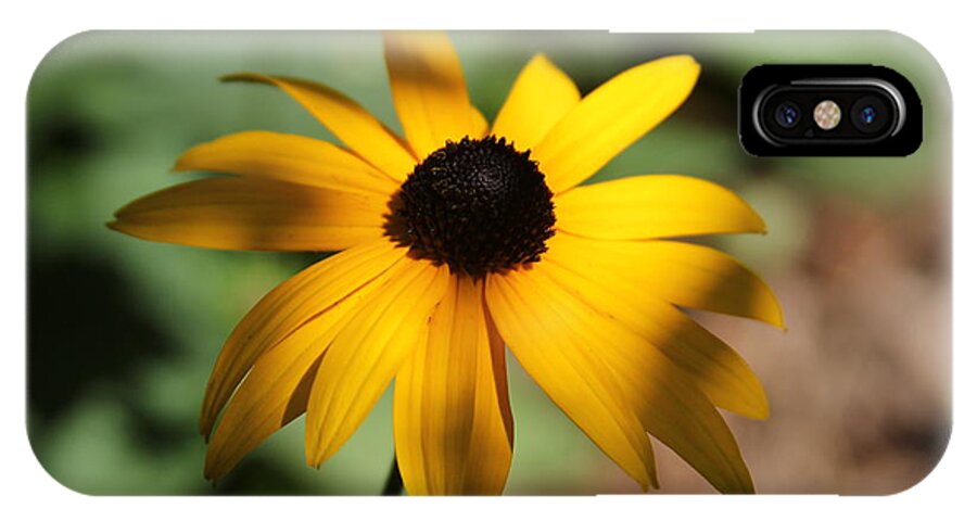 Flowers iPhone X Case featuring the photograph Black Eyed Susan by Rod Best