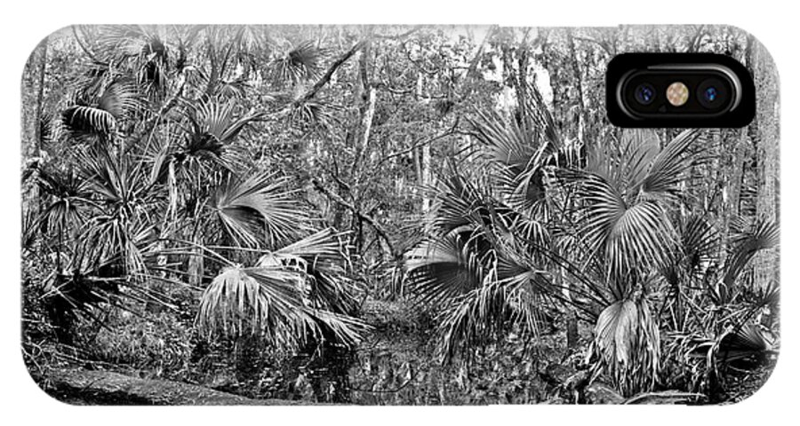 Black & White Landscape iPhone X Case featuring the photograph Black Water. Green Swamp Wildlife Management Area Polk County. by Chris Kusik