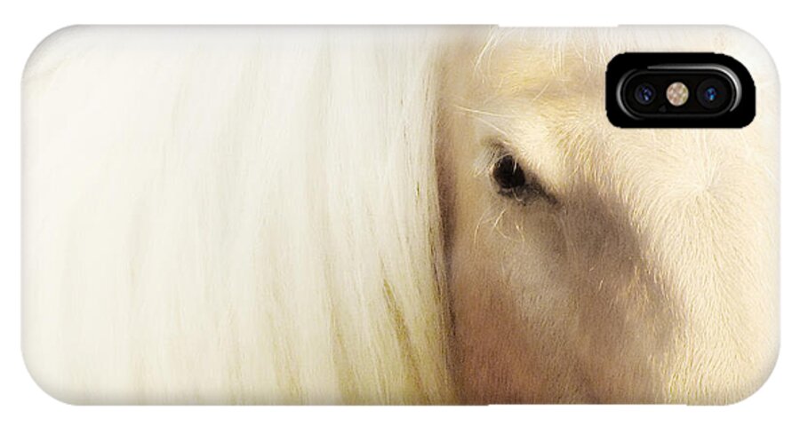 Horse Photography iPhone X Case featuring the photograph Blondie by Amy Tyler