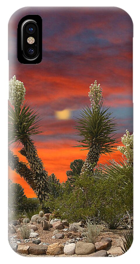 Framed Prints Of Yuccas In Bloom iPhone X Case featuring the photograph Full Blooming Yucca by Jack Pumphrey