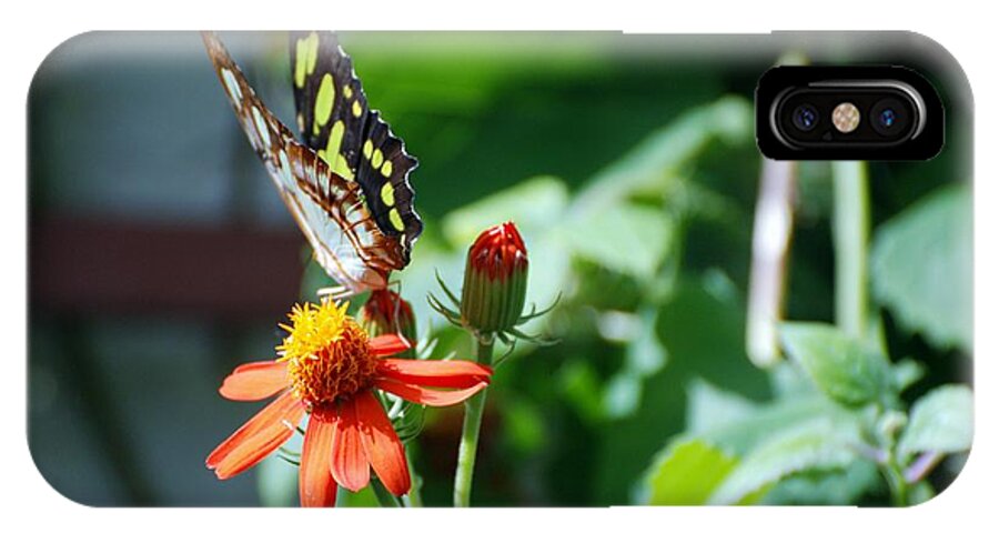 Lepidopterology iPhone X Case featuring the photograph Blooms And Butterfly4 by Rob Hans