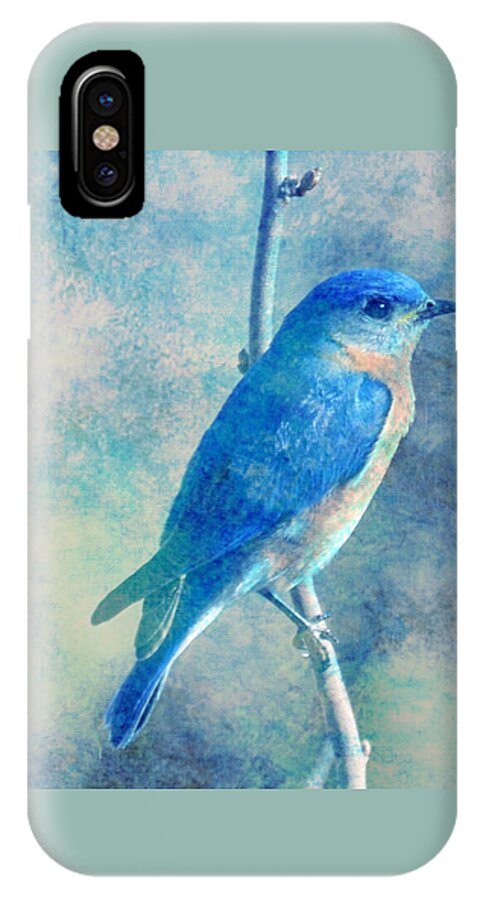 Bluebird Blue Sky iPhone X Case featuring the digital art Blue Bird Blue Sky by Femina Photo Art By Maggie