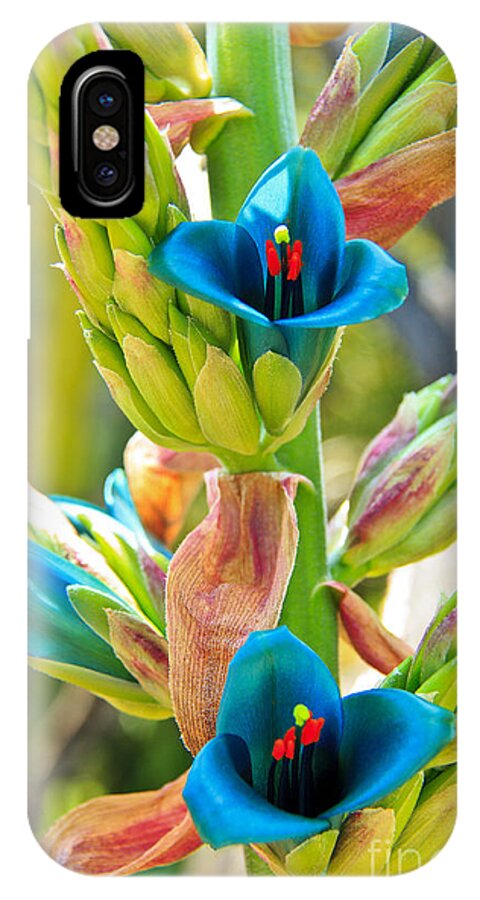 Flowers iPhone X Case featuring the photograph Blue Flower 2 by David Doucot