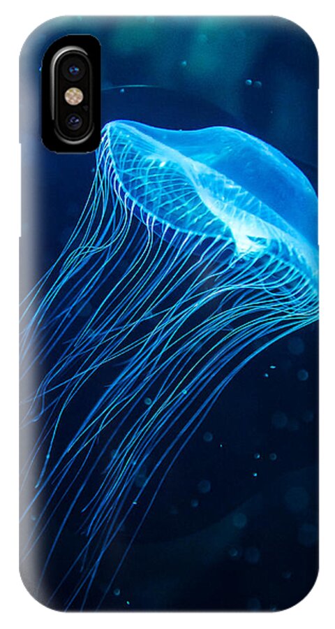 Jellyfish iPhone X Case featuring the photograph Blue Jelly by Jennifer Kano