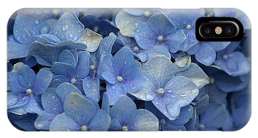 Hydrangea iPhone X Case featuring the photograph Blue Over You With Tears by Living Color Photography Lorraine Lynch