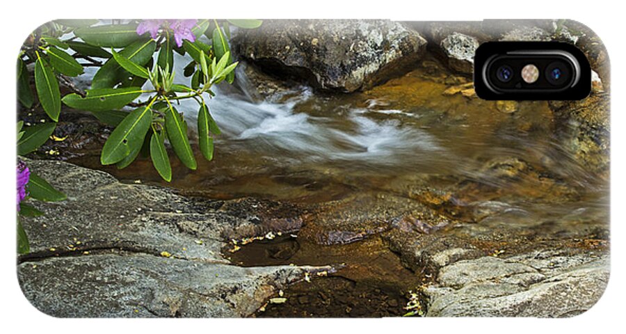 Nature iPhone X Case featuring the photograph Blue Ridge Stream by Robert Pilkington